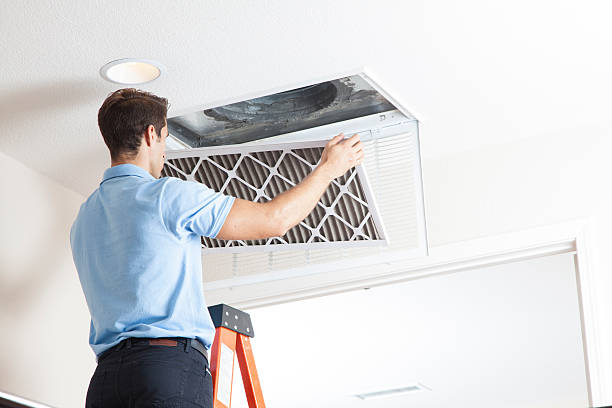 Best Ductless HVAC repair  in Pecatonica, IL